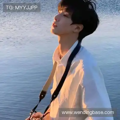 蓬盈晓